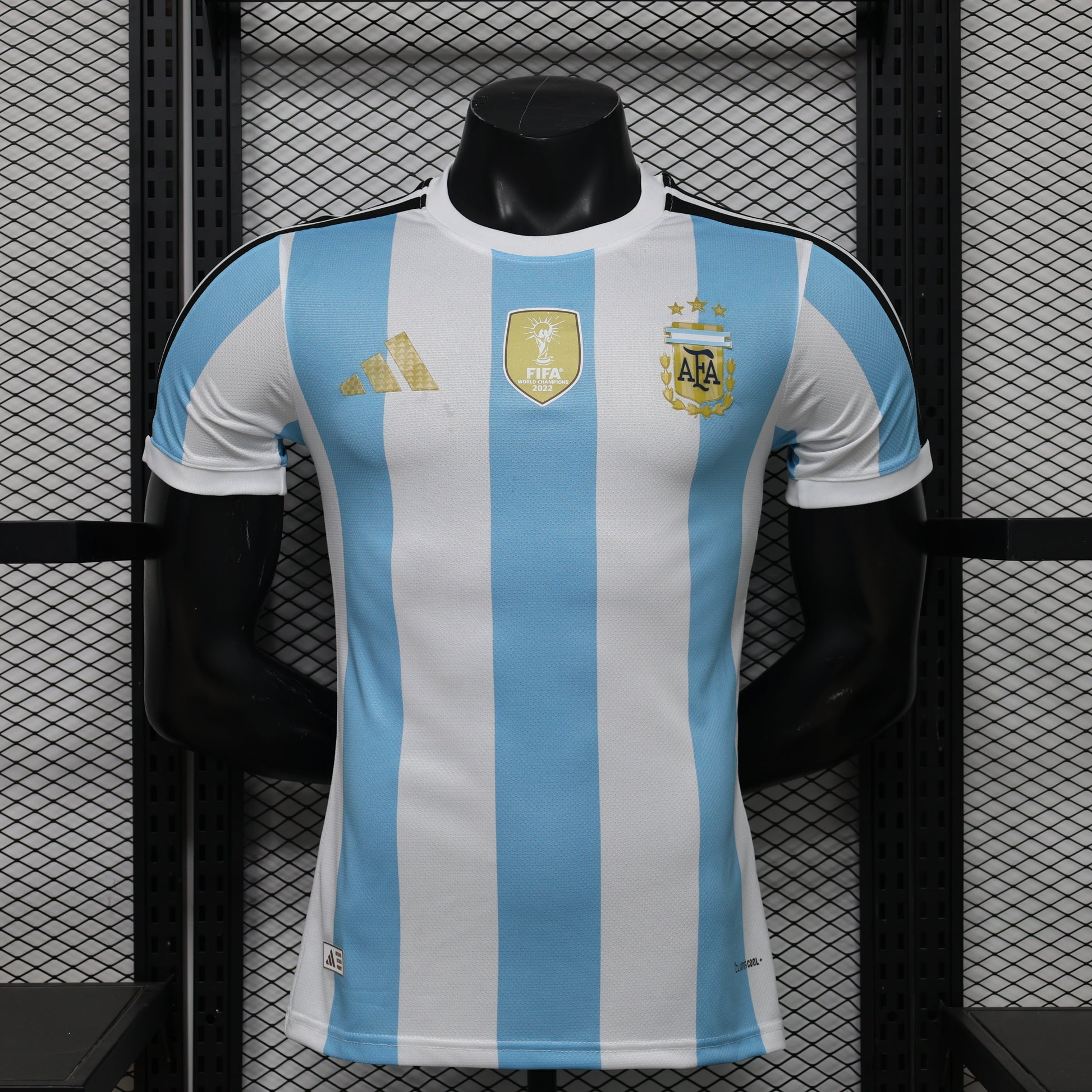 Maillot Argentine concept 2026